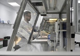 Un científico trabaja en un laboratorio de Viralgen, en Donostia.