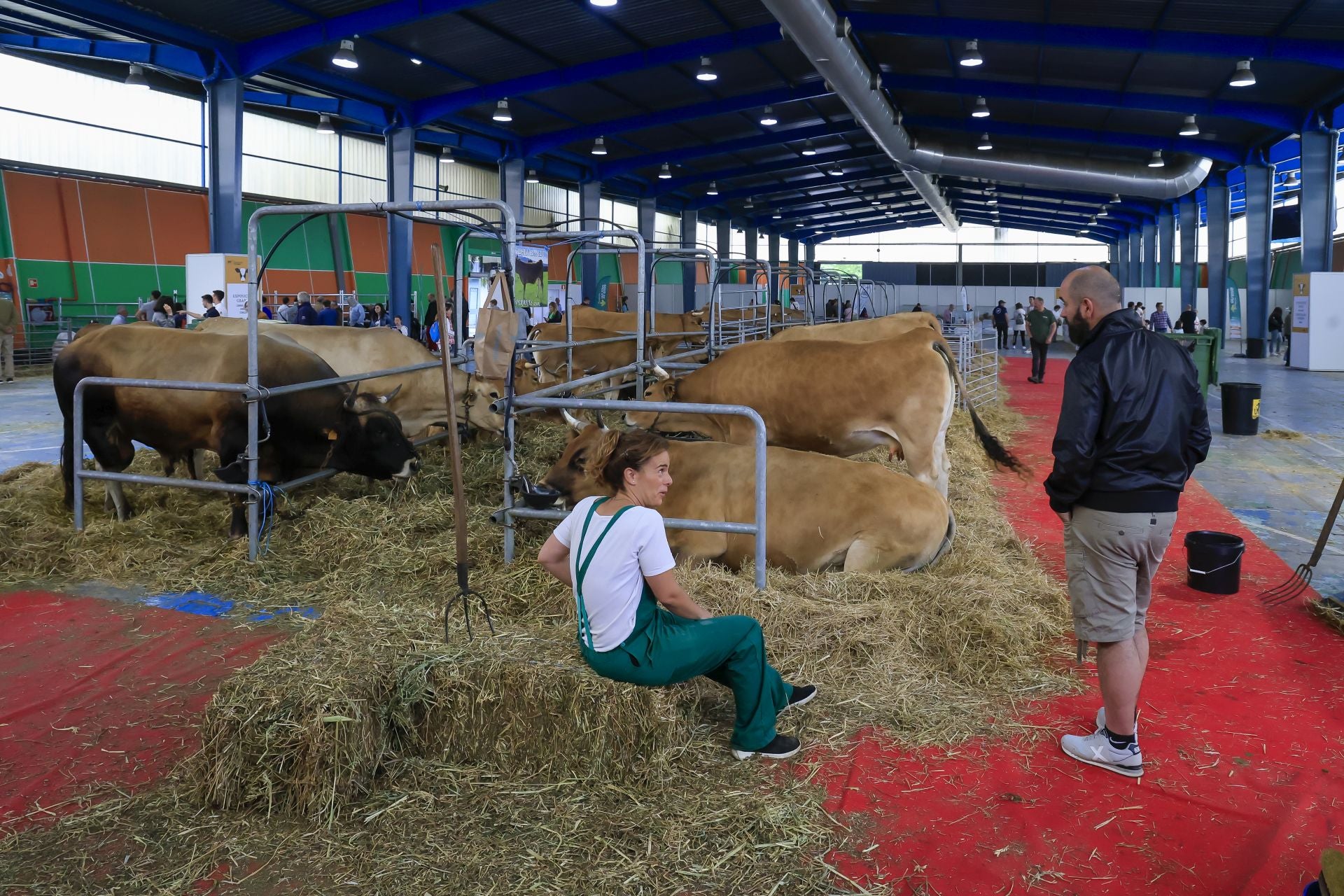 Fotos: Feria de San Antonio en Gijón