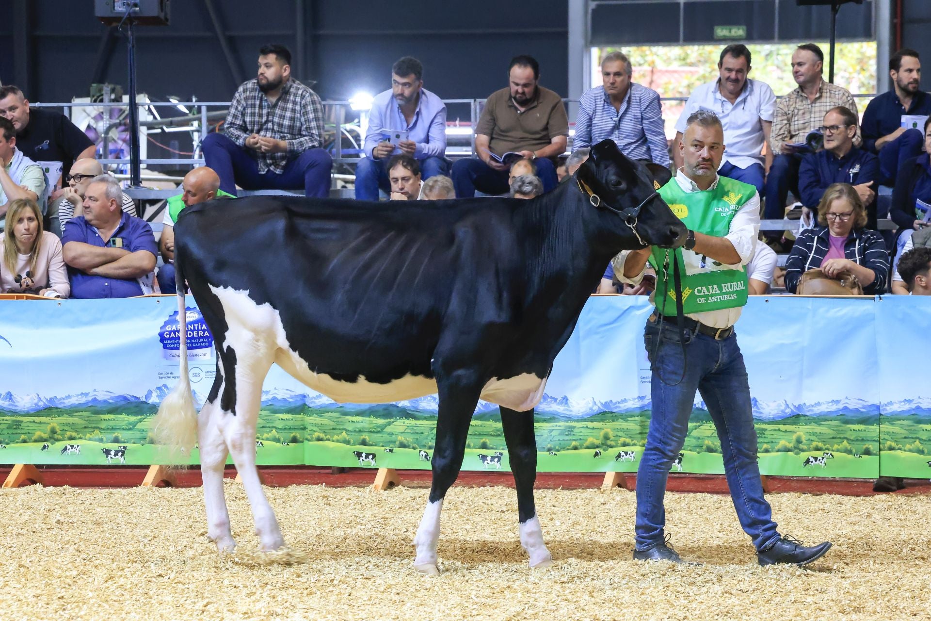 Fotos: Feria de San Antonio en Gijón