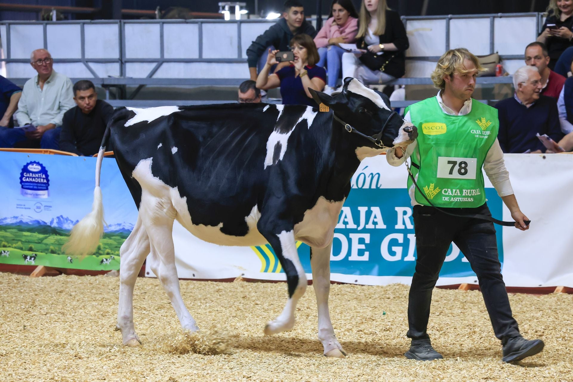Fotos: Feria de San Antonio en Gijón