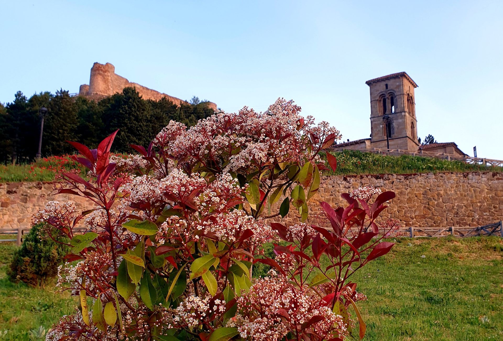 Uno de los pueblos más bonitos de España está en Palencia