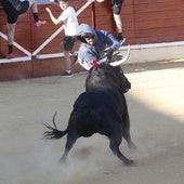Un herido grave y dos leves en el festejo taurino de Medina del Campo