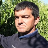 Imagen - «Soy fruticultor toda la vida. Y cuando uno de toda la vida quita hectáreas de frutales nunca las vuelve a poner»