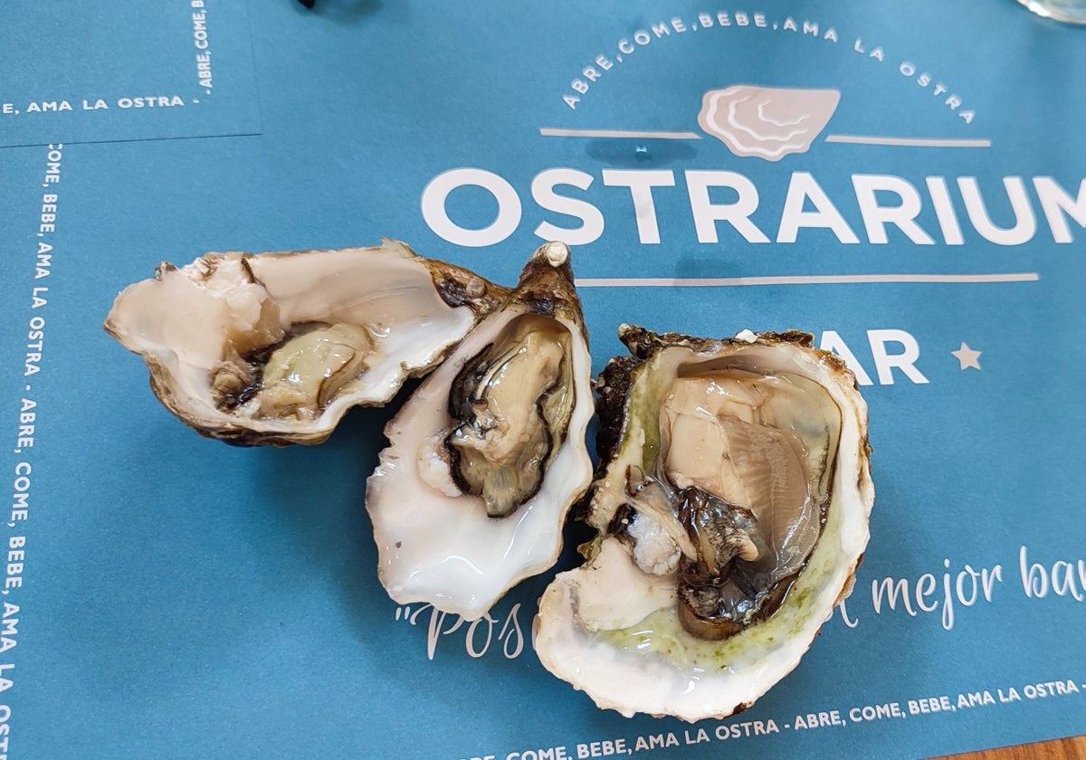 Ostrarium celebra su décimo aniversario