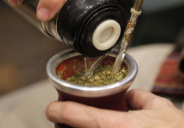 Preparación de mate