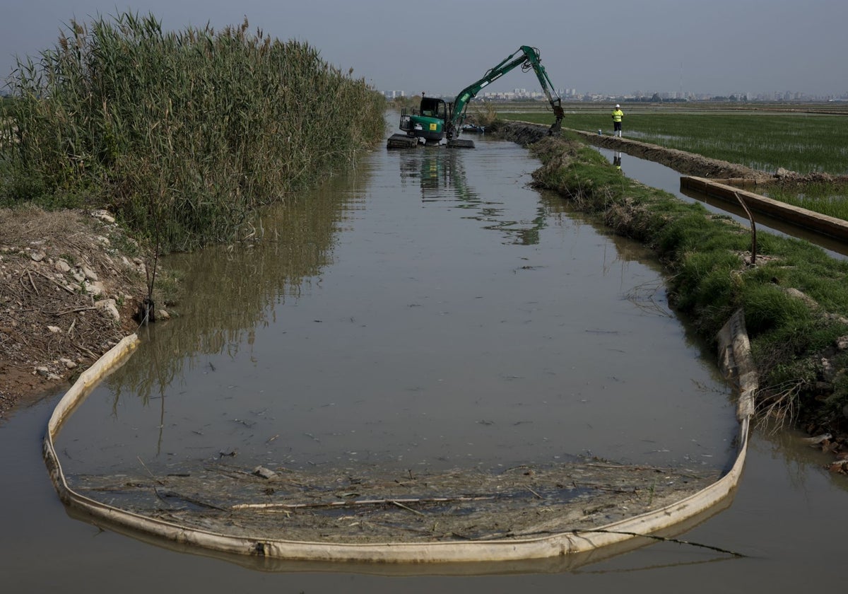 La (no) inversión del Estado en la Albufera