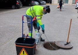 Trabajos de desinsectación en Paterna.