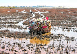 Resto de basura en el lago de la Albufera, tras la dana, en una imagen de archivo.