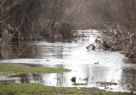 Río Tormes